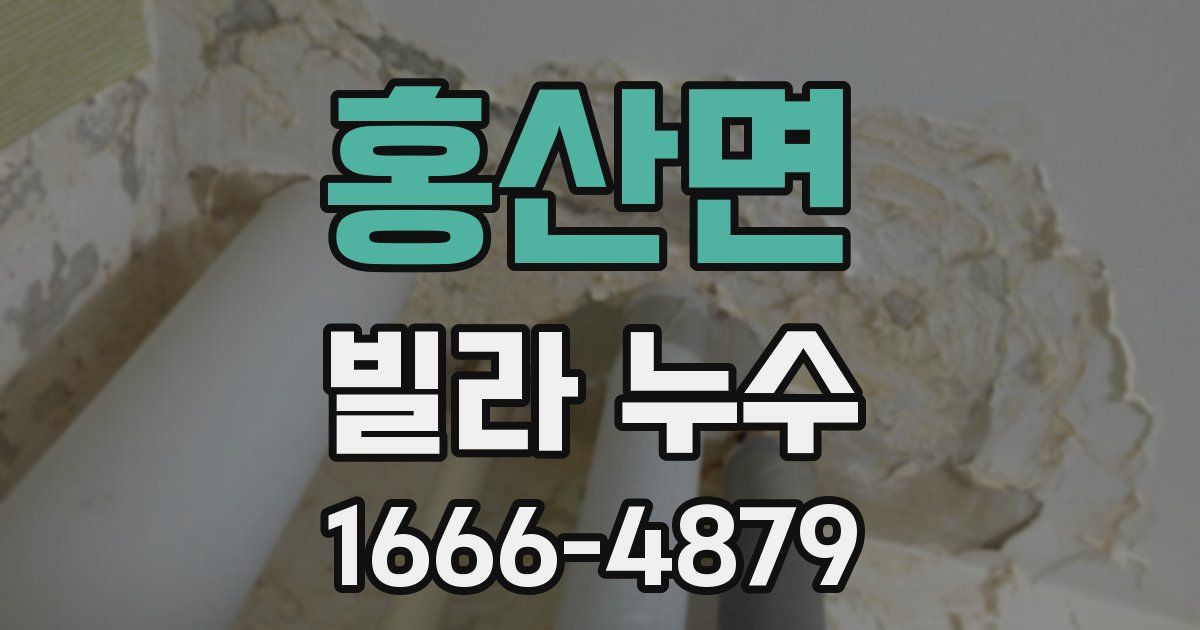 홍산면 빌라 누수