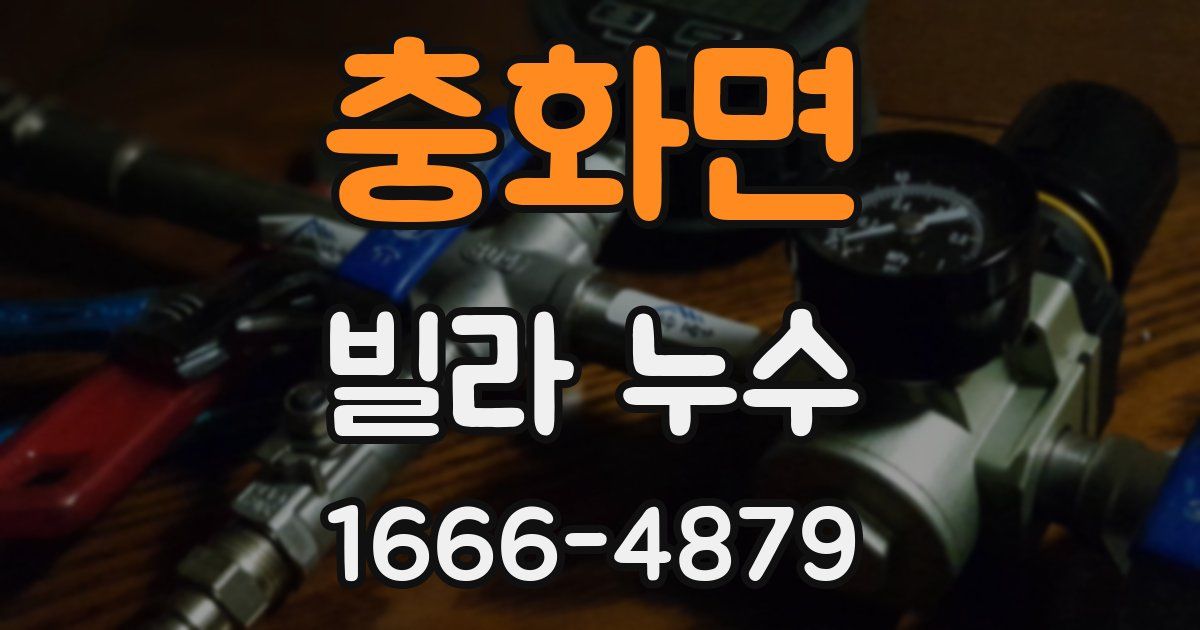 충화면 빌라 누수
