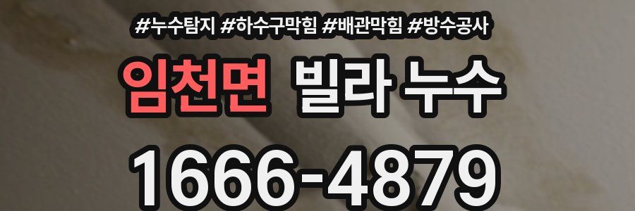 임천면 빌라 누수