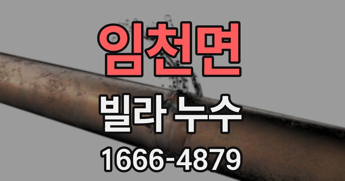 임천면 빌라 누수