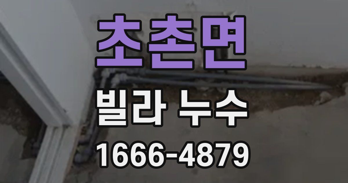 초촌면 빌라 누수