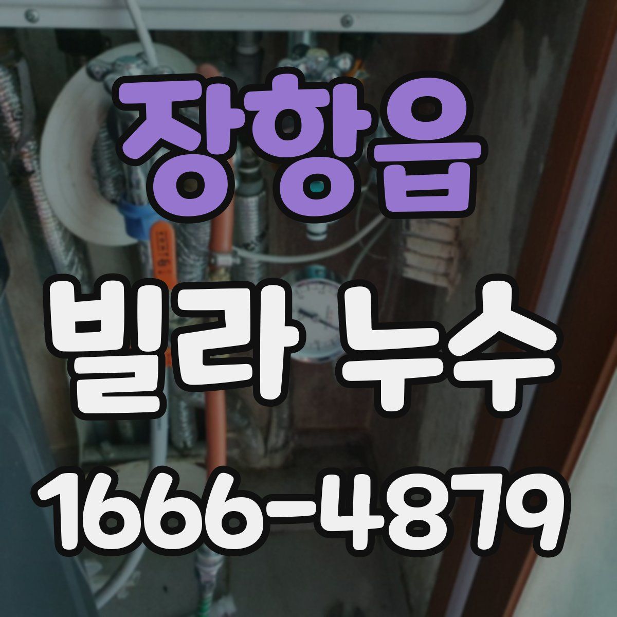 장항읍 빌라 누수