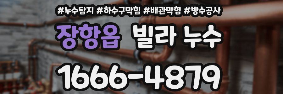 장항읍 빌라 누수