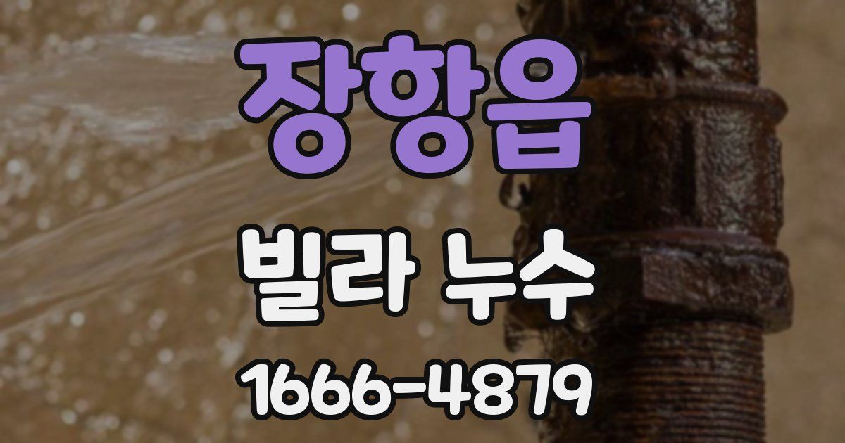 장항읍 빌라 누수