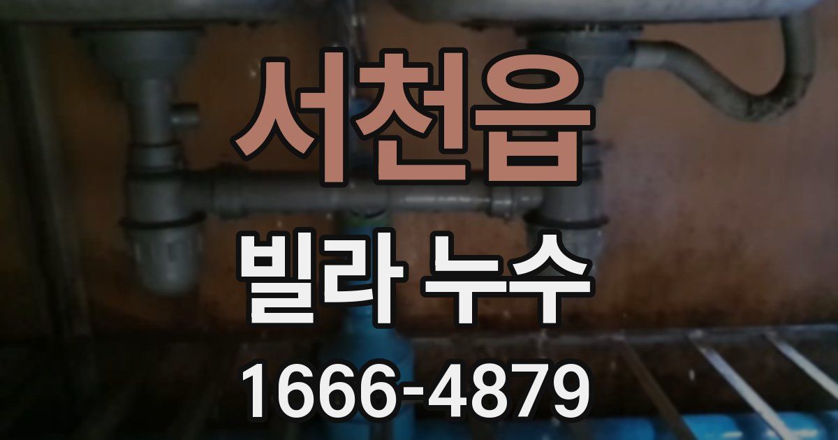 서천읍 빌라 누수