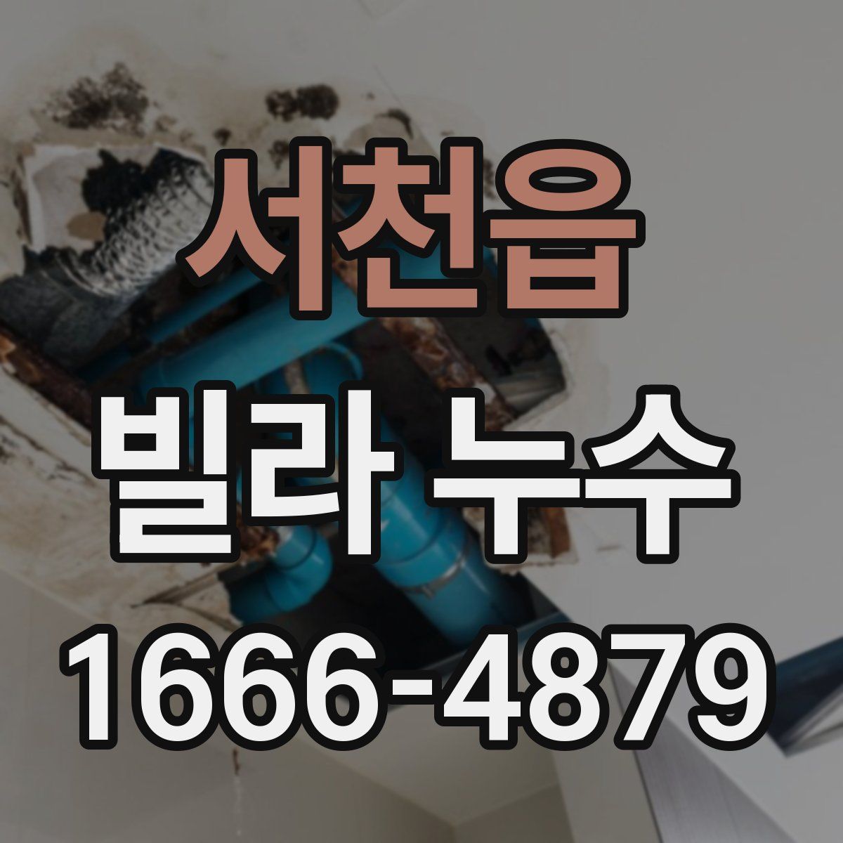 서천읍 빌라 누수
