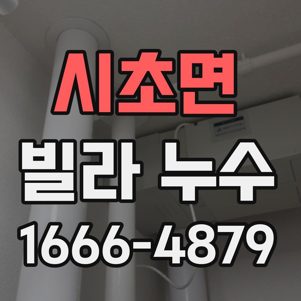 시초면 빌라 누수