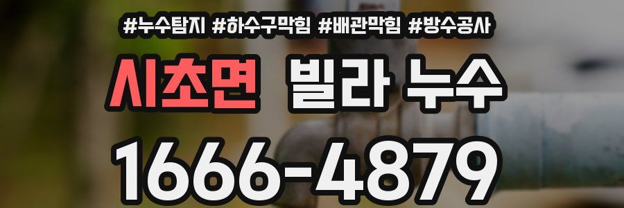 시초면 빌라 누수