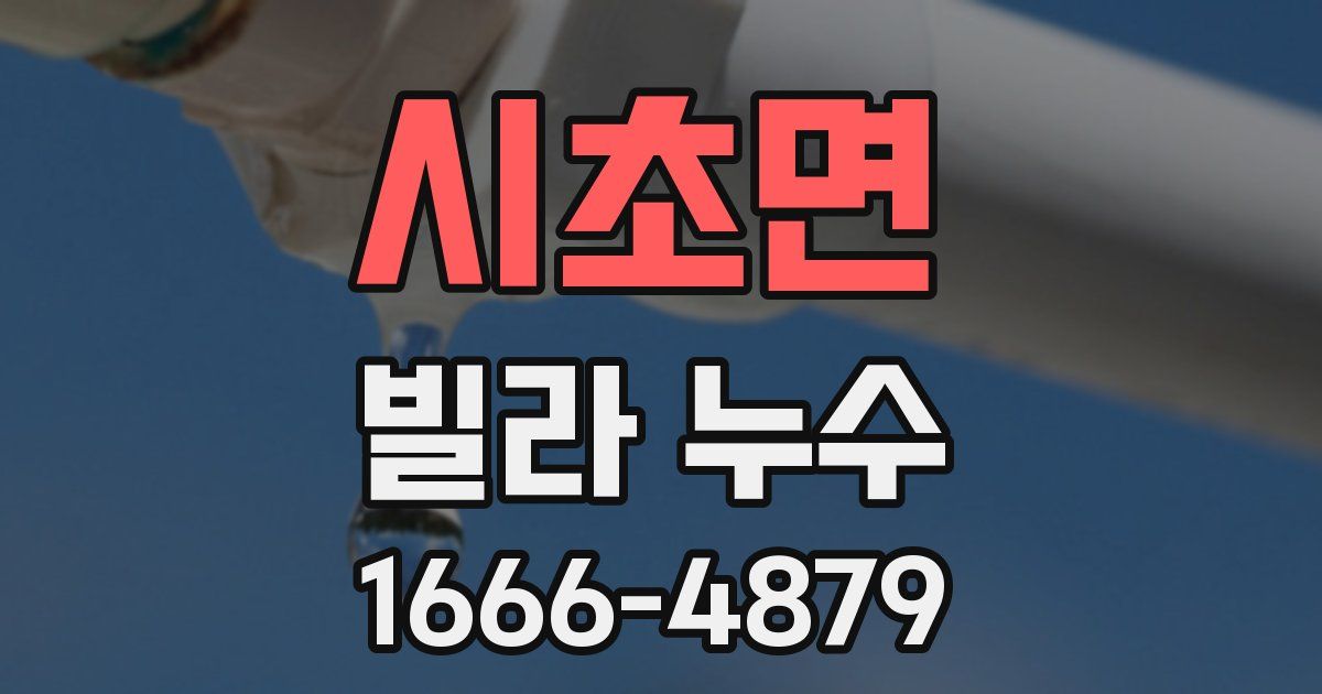 시초면 빌라 누수