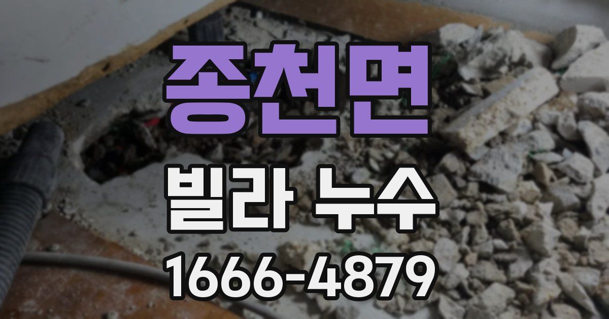 종천면 빌라 누수