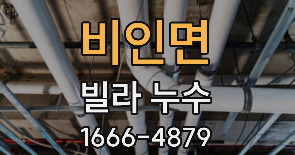 비인면 빌라 누수
