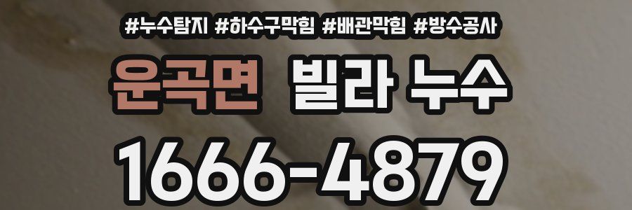 운곡면 빌라 누수