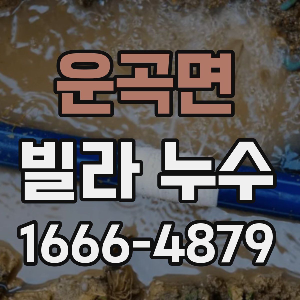 운곡면 빌라 누수