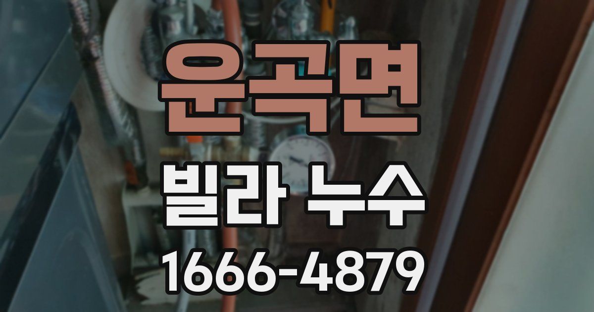 운곡면 빌라 누수