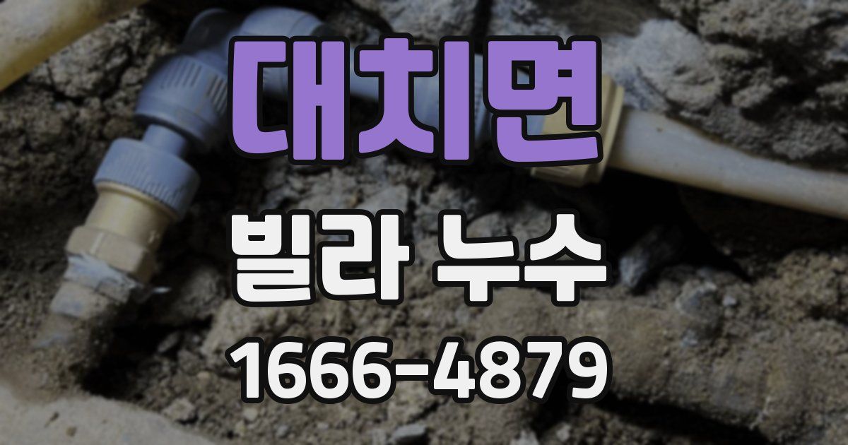 대치면 빌라 누수