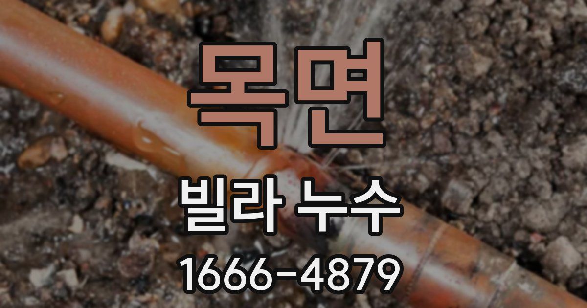 목면 빌라 누수