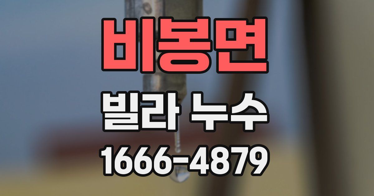 비봉면 빌라 누수