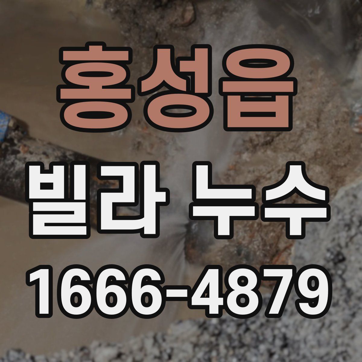 홍성읍 빌라 누수