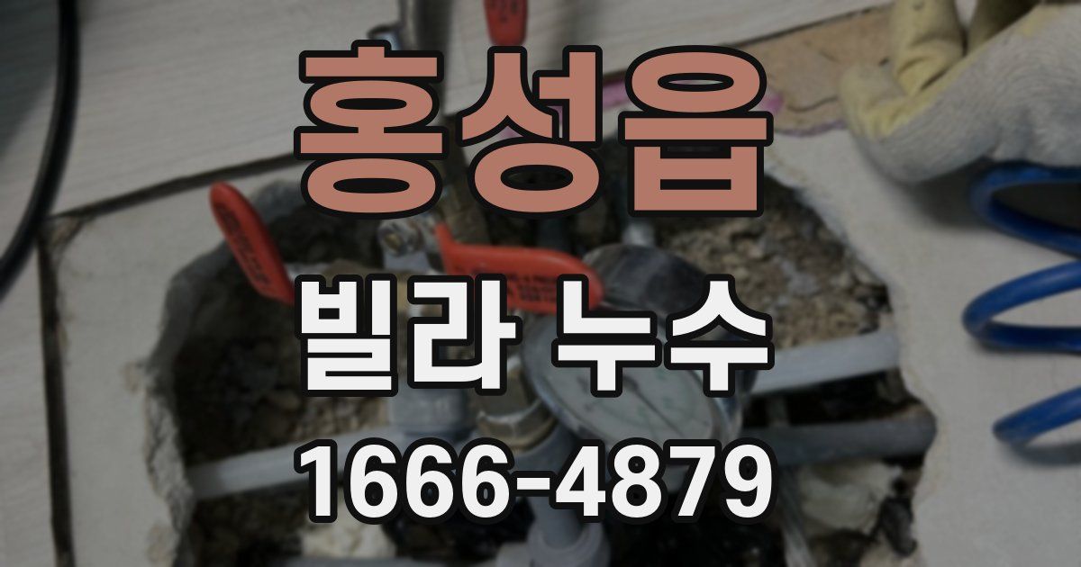 홍성읍 빌라 누수