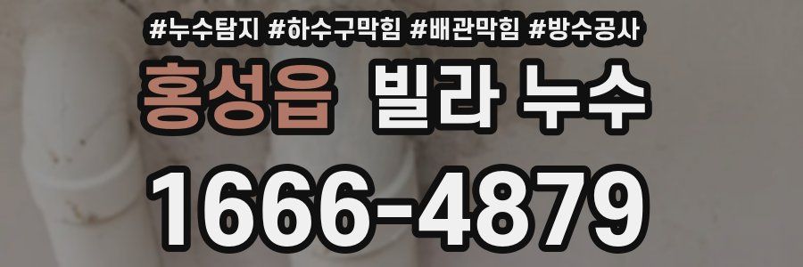 홍성읍 빌라 누수