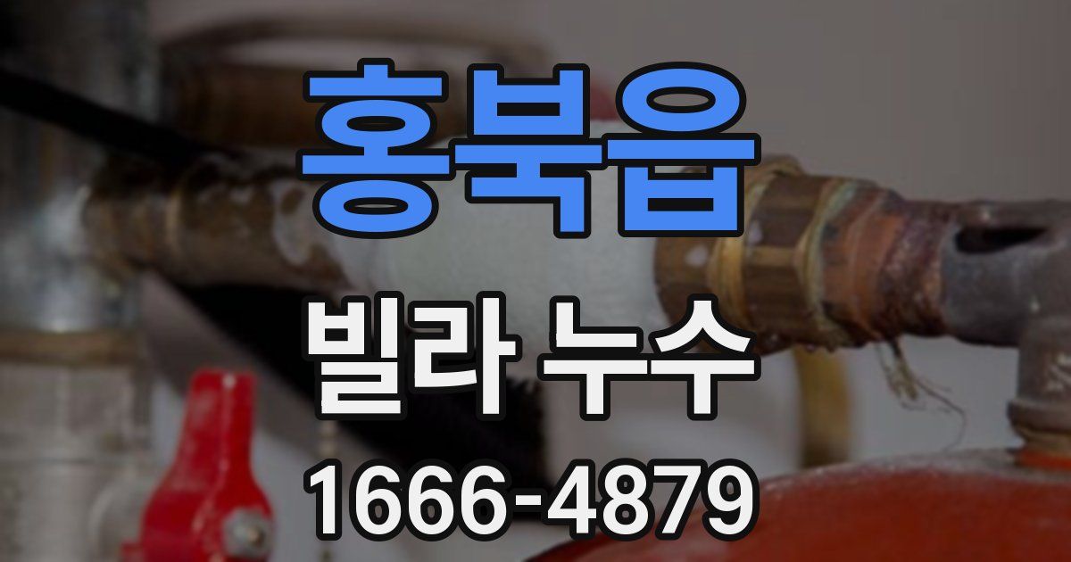 홍북읍 빌라 누수