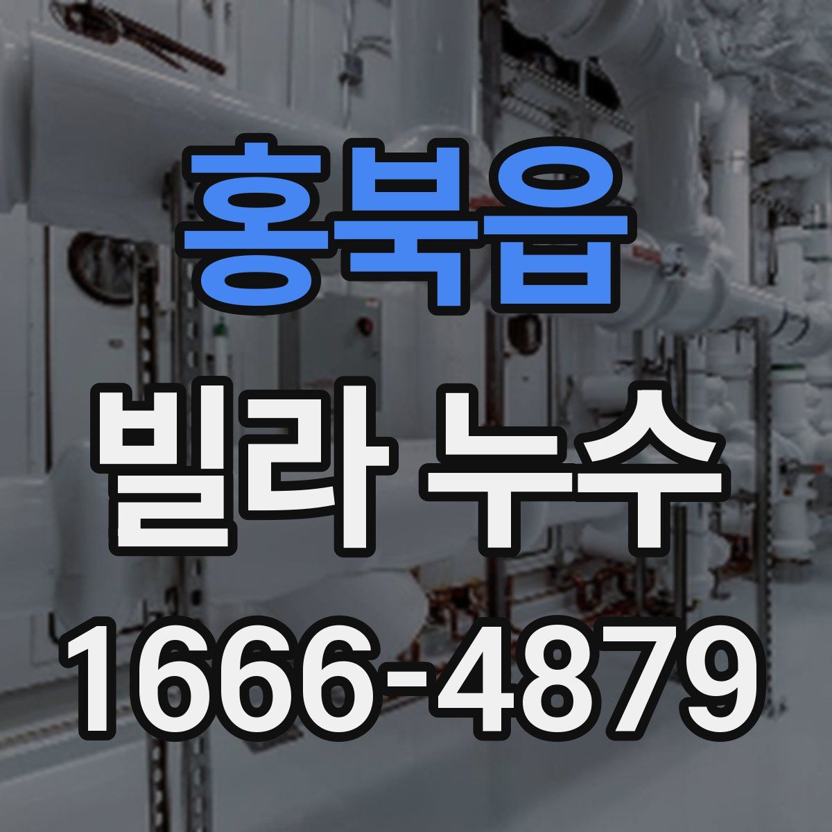 홍북읍 빌라 누수