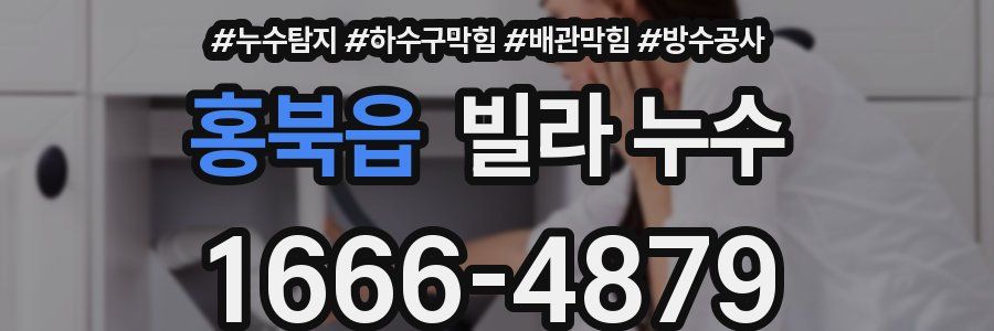 홍북읍 빌라 누수