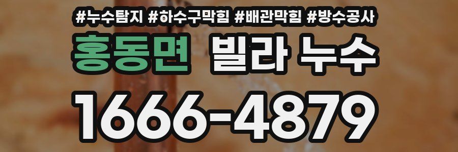홍동면 빌라 누수