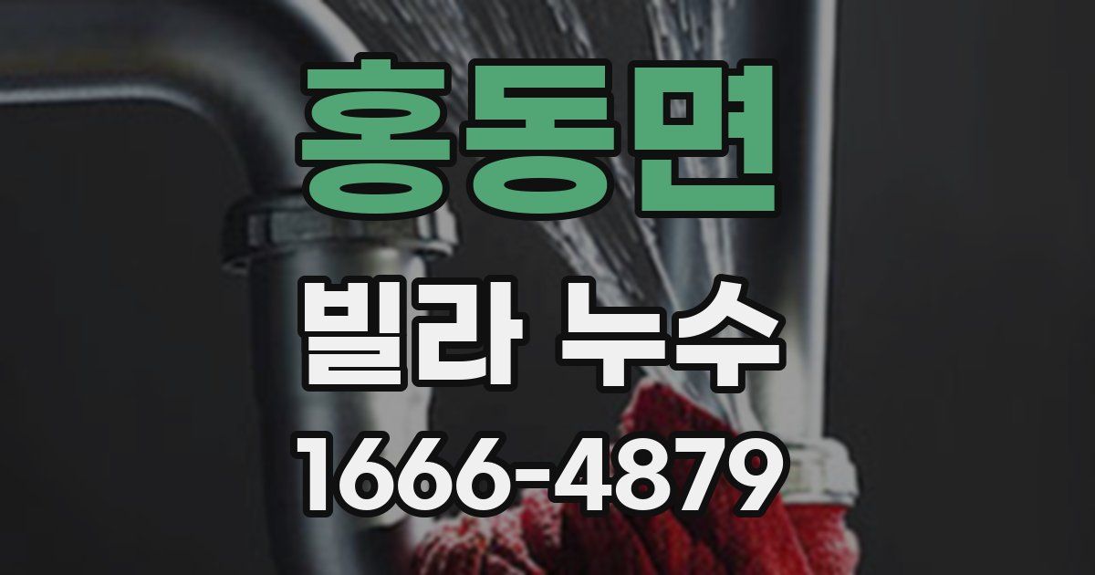 홍동면 빌라 누수