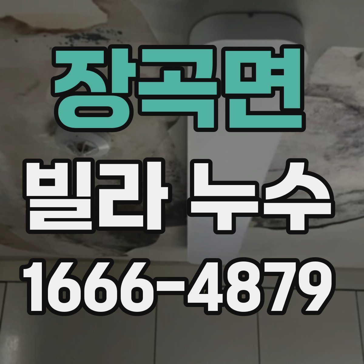 장곡면 빌라 누수