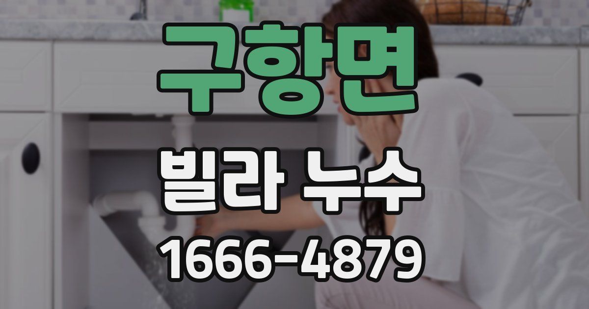 구항면 빌라 누수