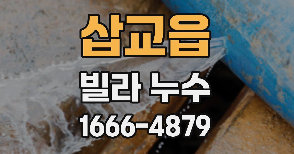 삽교읍 빌라 누수
