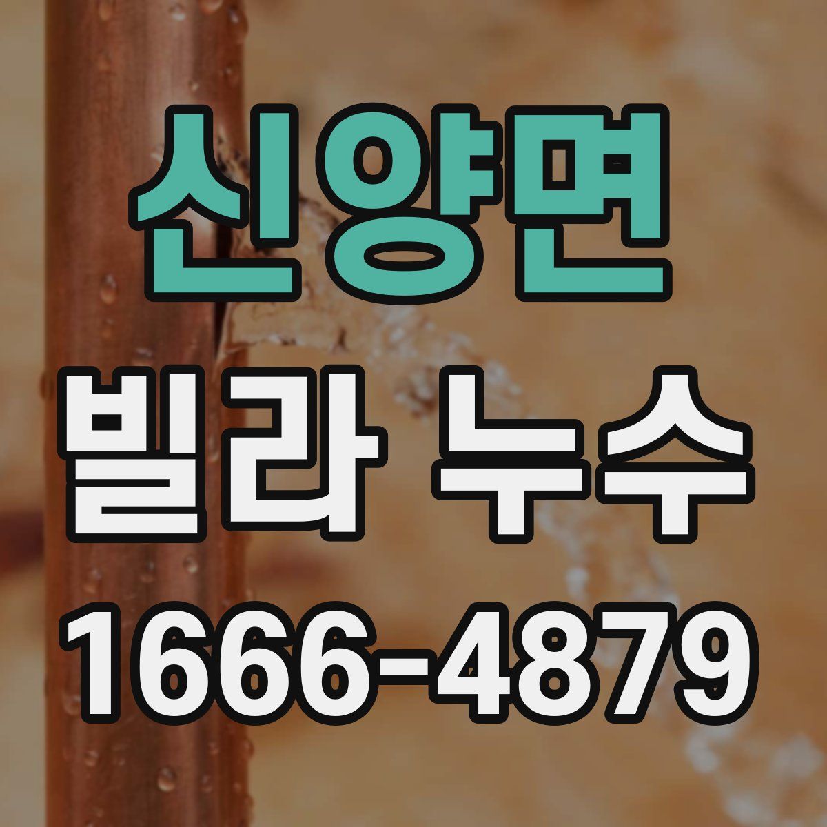 신양면 빌라 누수