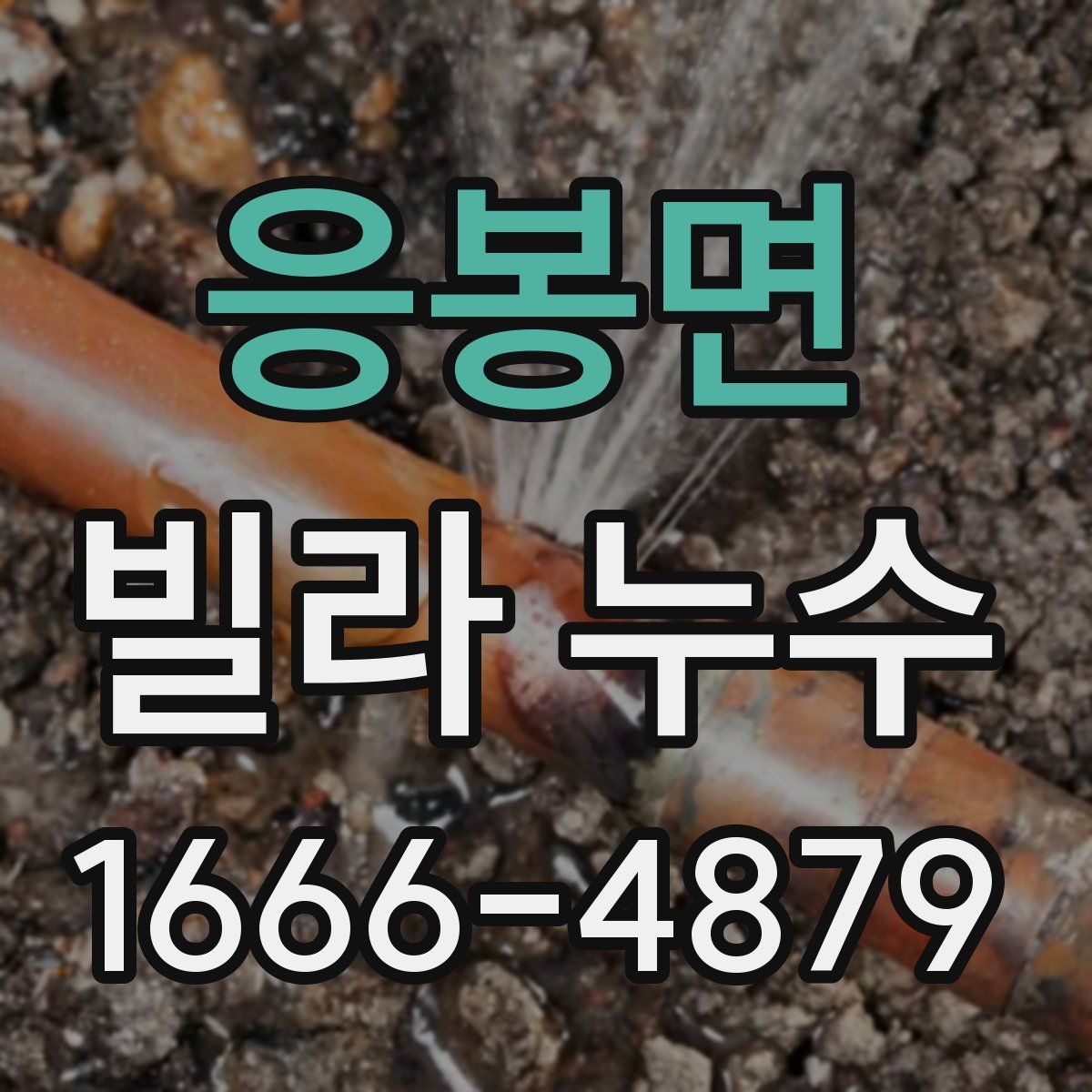 응봉면 빌라 누수