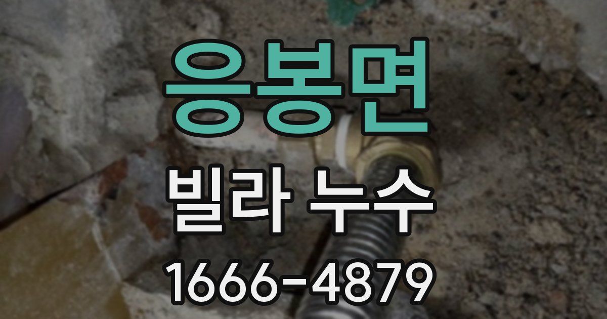 응봉면 빌라 누수