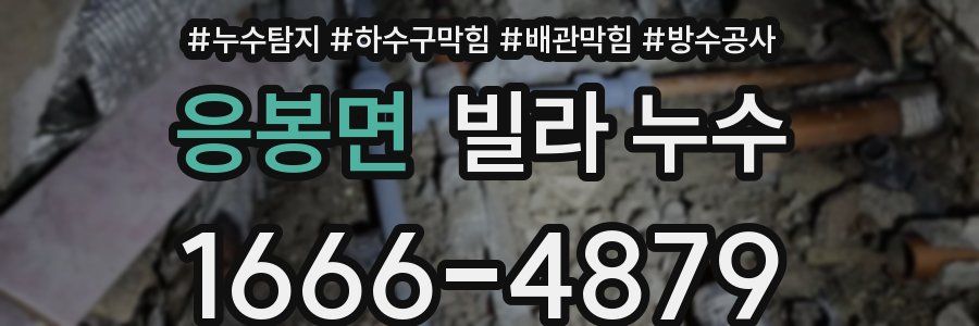 응봉면 빌라 누수
