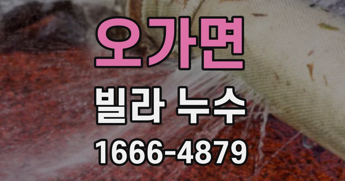 오가면 빌라 누수