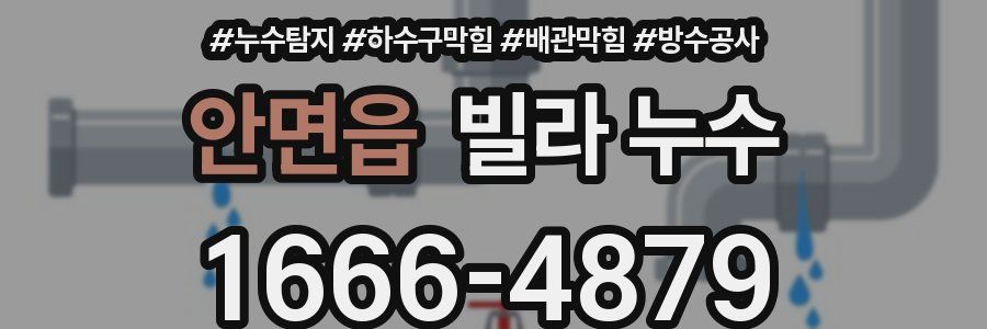 안면읍 빌라 누수