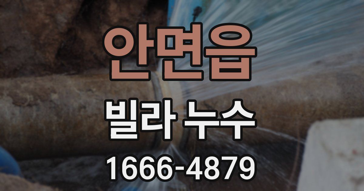 안면읍 빌라 누수