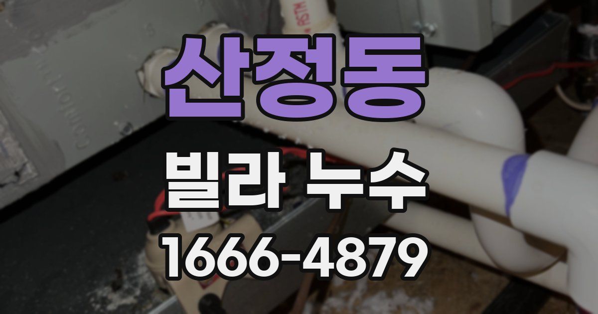 산정동 빌라 누수