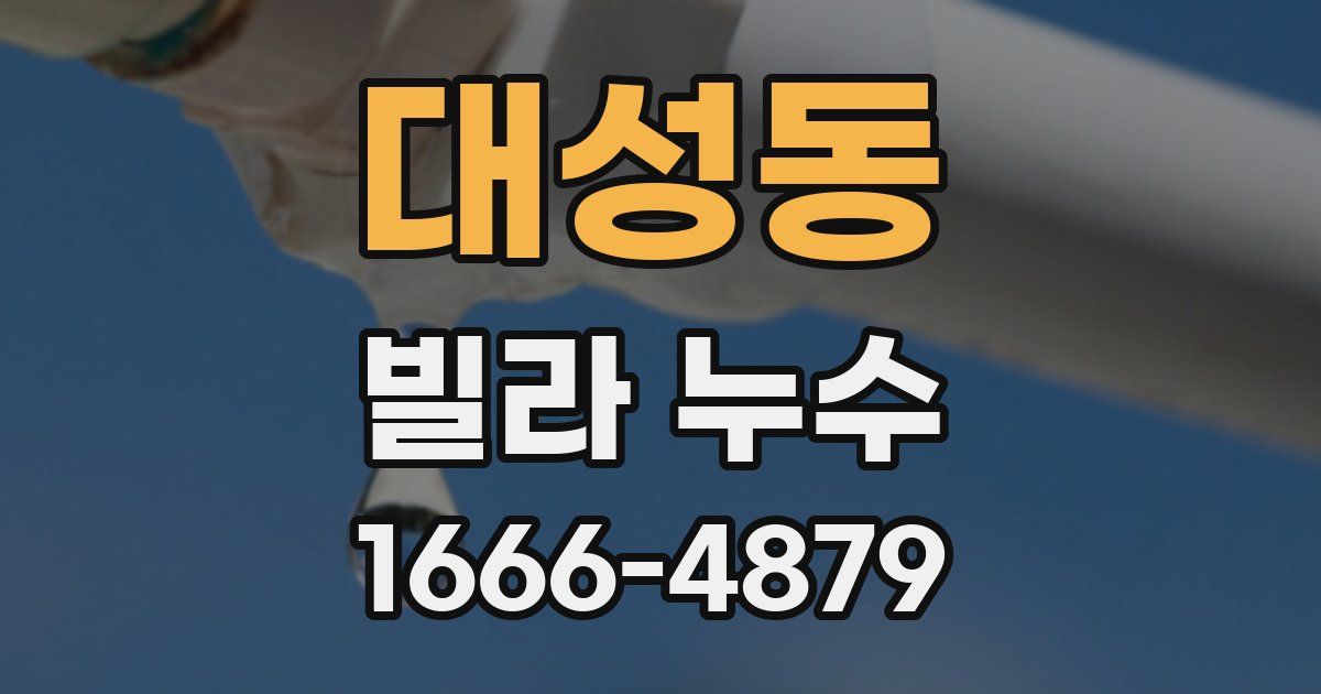 대성동 빌라 누수