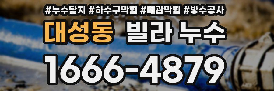 대성동 빌라 누수