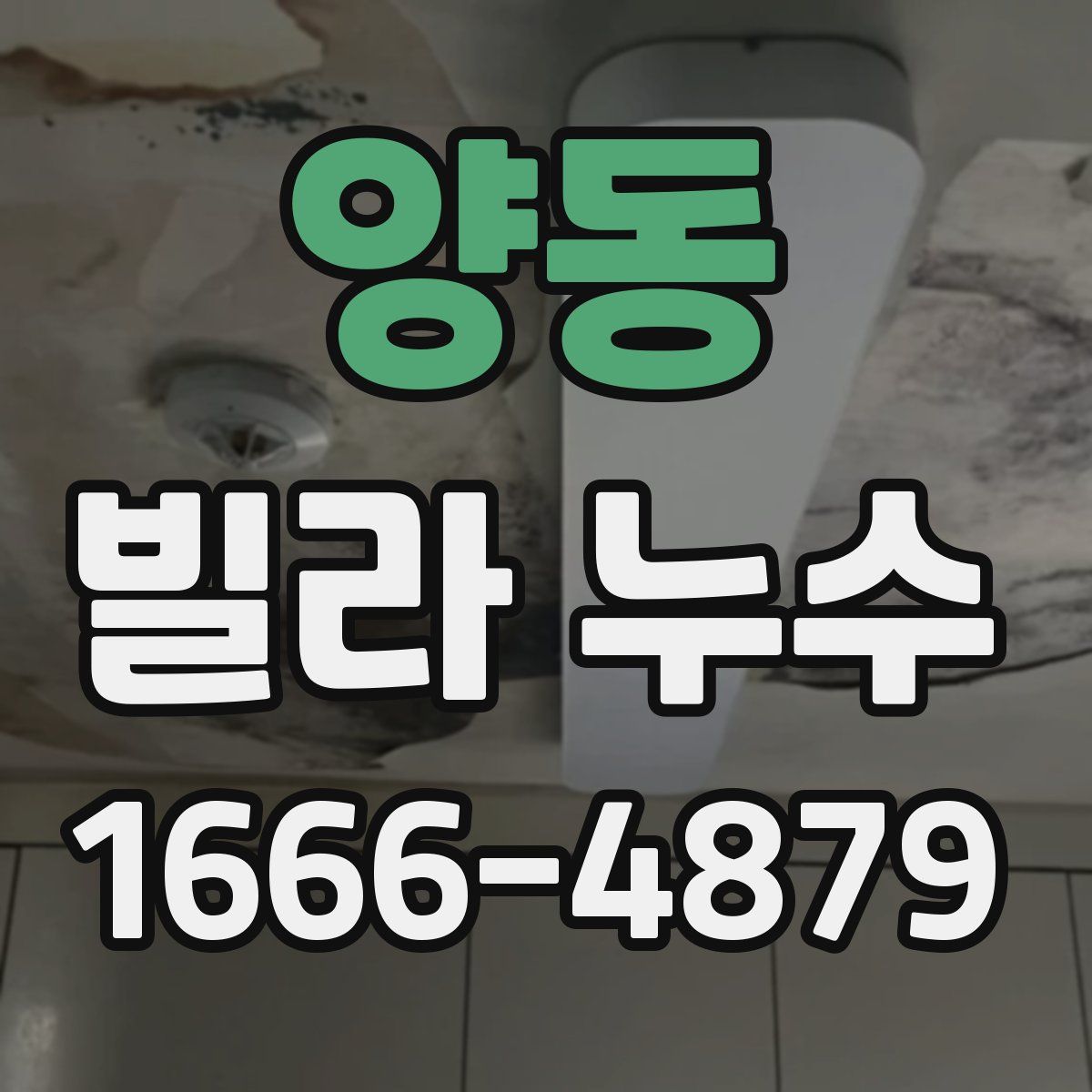 양동 빌라 누수