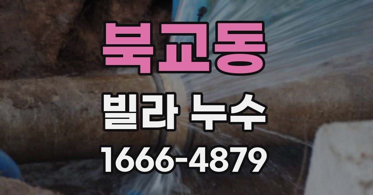북교동 빌라 누수