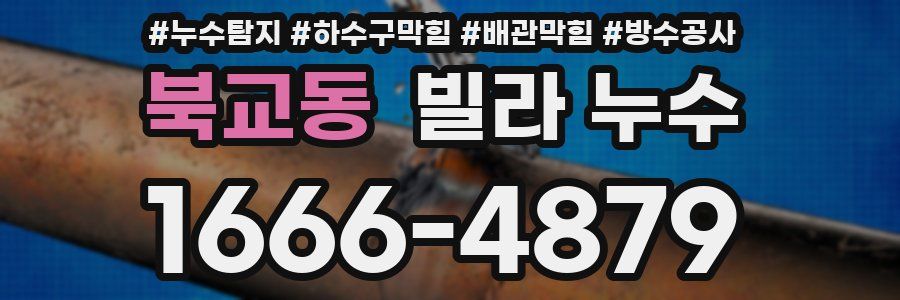 북교동 빌라 누수
