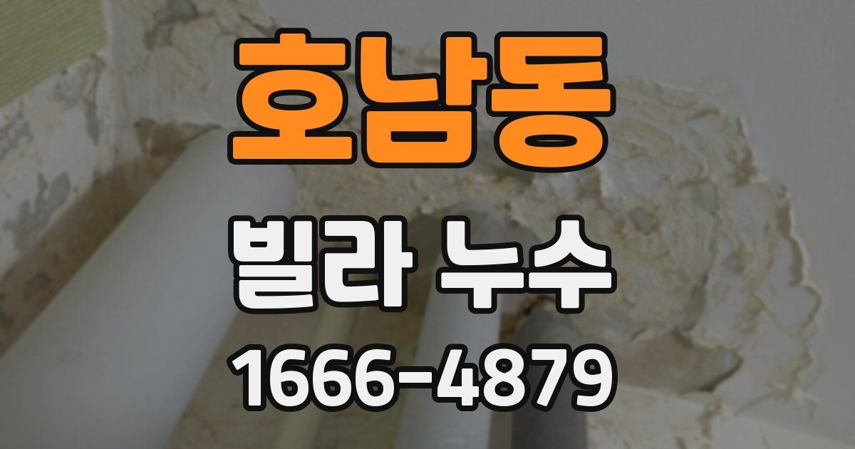 호남동 빌라 누수