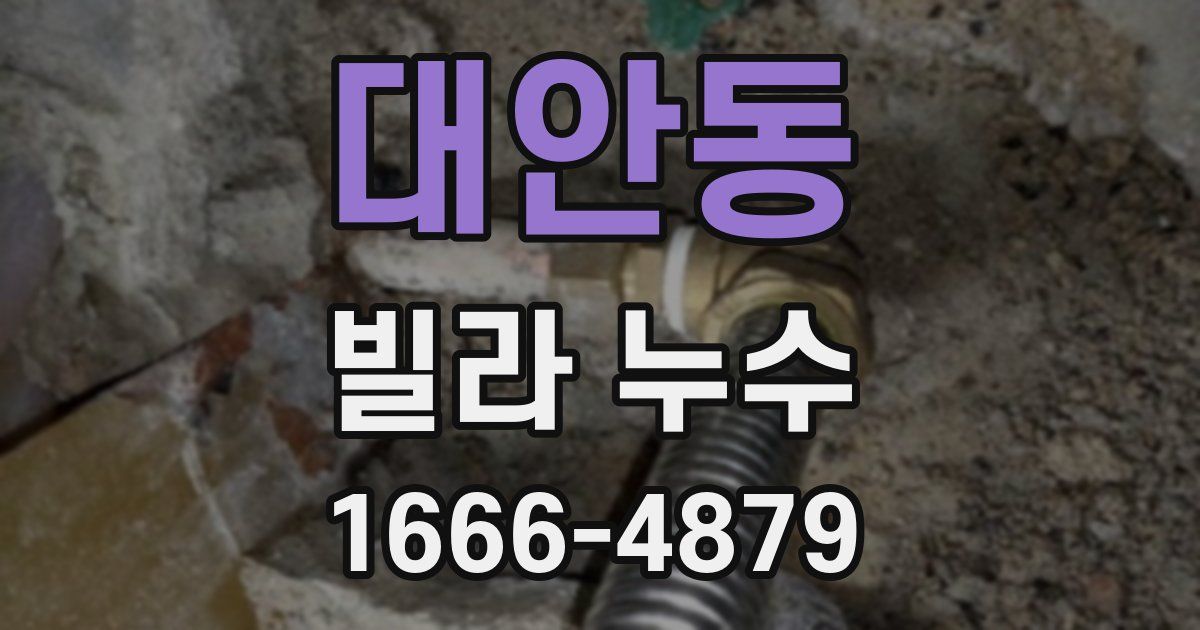 대안동 빌라 누수
