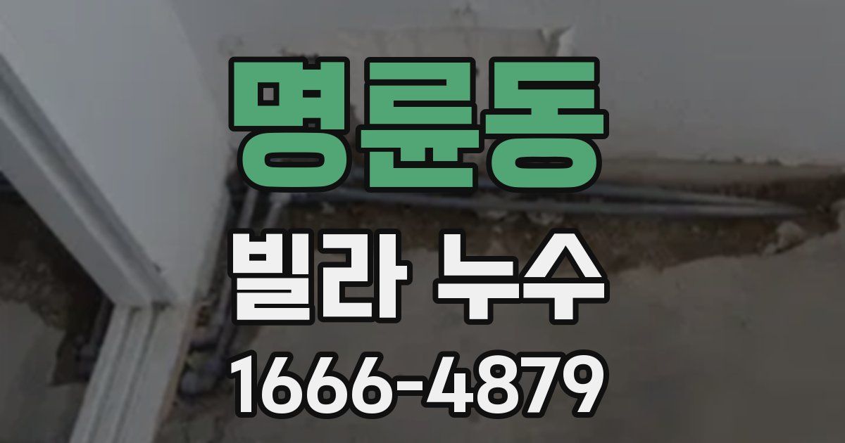 명륜동 빌라 누수