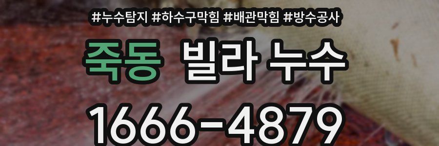 죽동 빌라 누수