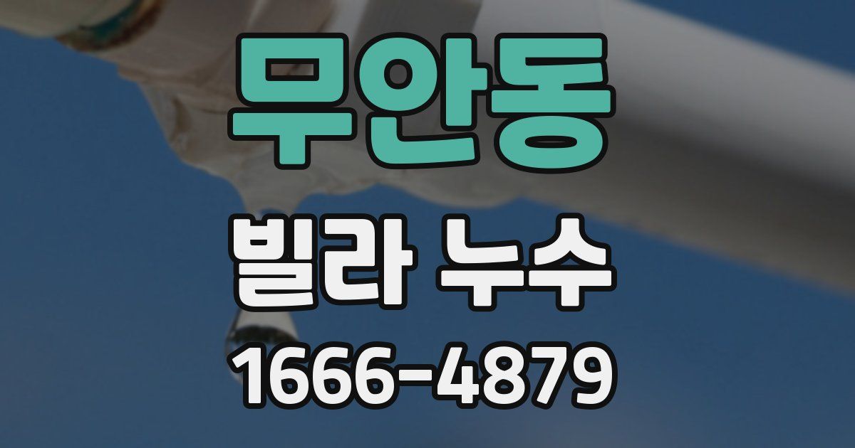무안동 빌라 누수